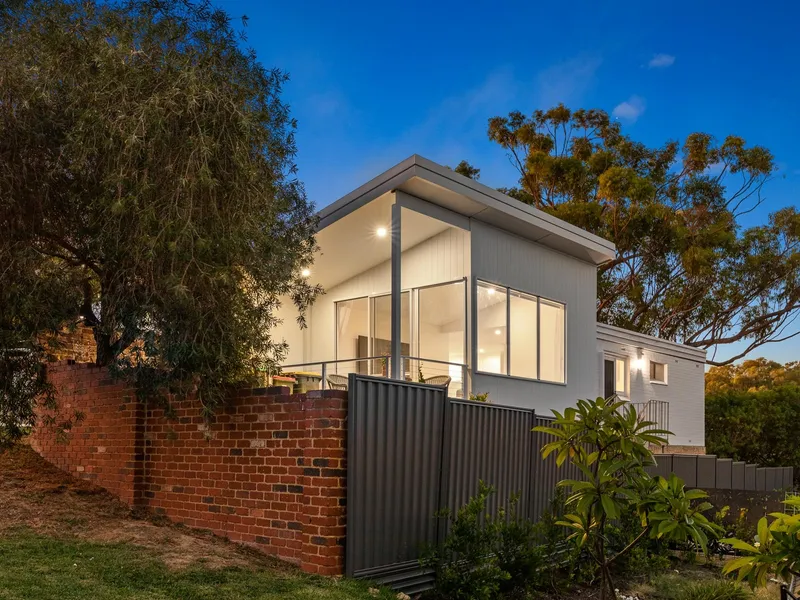 Modern Tree-Top Living