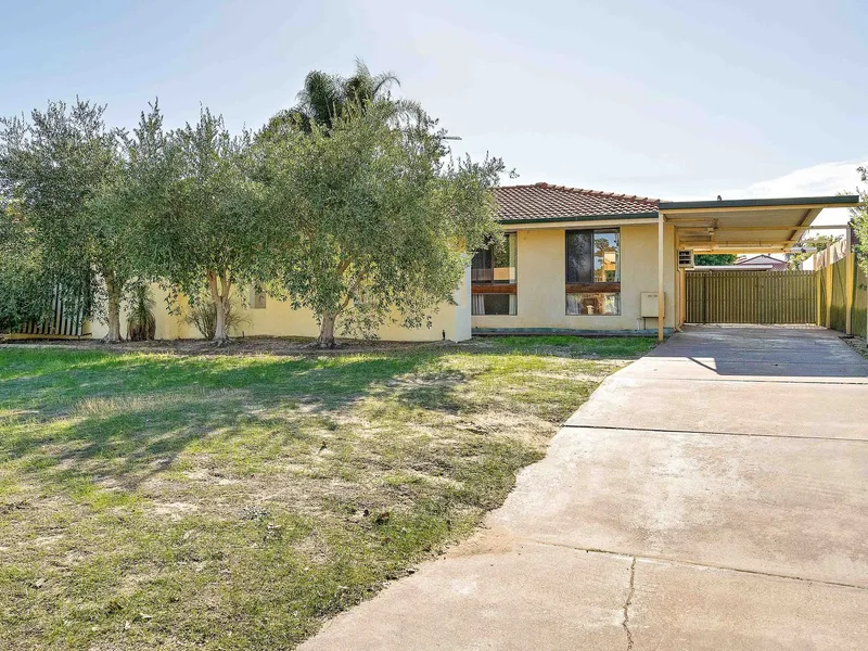 Splash Into Ferndale