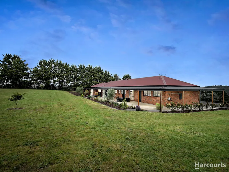 10 Acres – buy now and watch your investment grow!