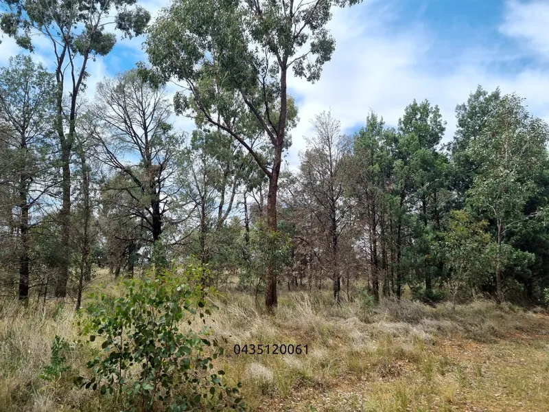 Lot 1 Crawfords Road Lake Cargelligo