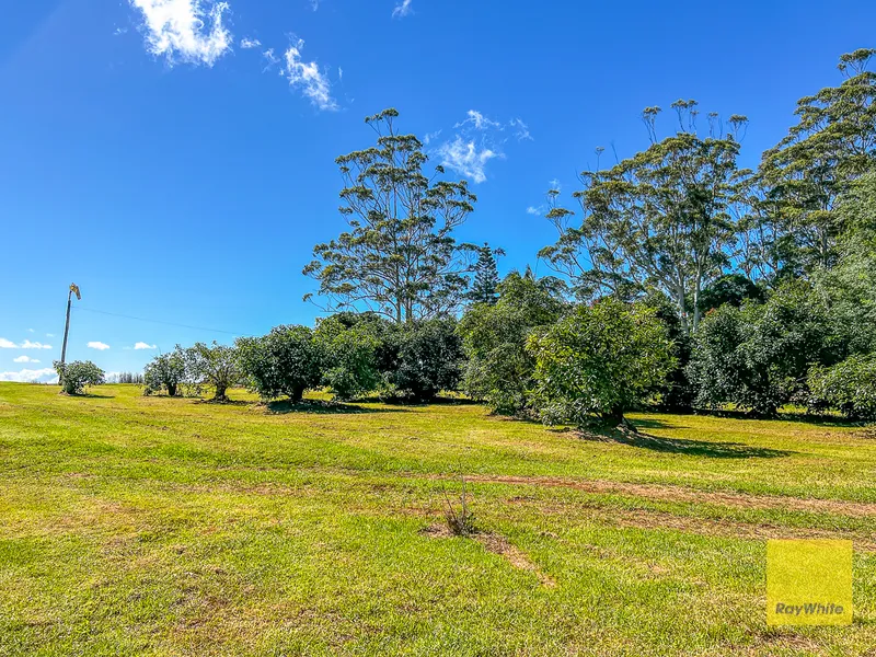 Views, Avocados & Potential Plus