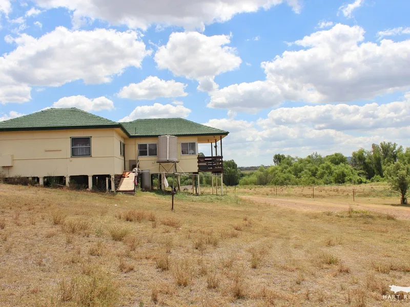 Acres in the heart of town