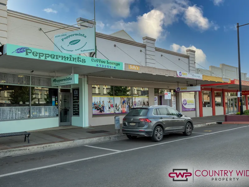 Commercial and Residential Premises in the Centre of Town