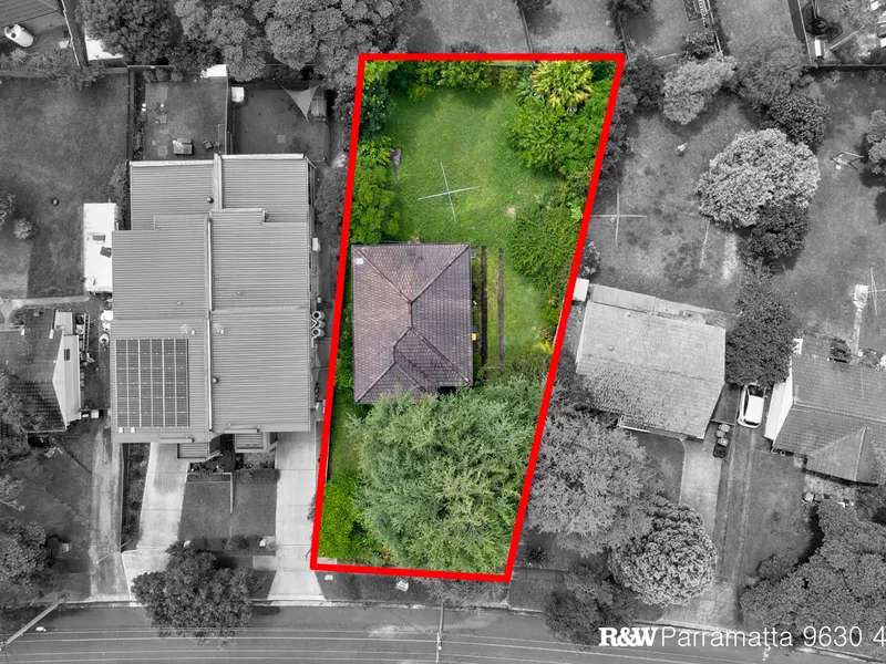 POTENTIAL ! POTENTIAL ! POTENTIAL !