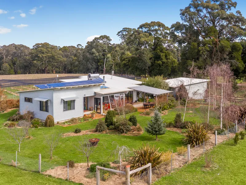 Exceptional lifestyle block on the edge of Trentham township