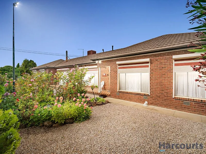 Quality Country Home with Amazing Shedding