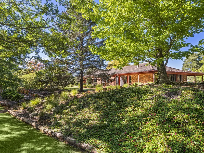 Classic Retro Elegance