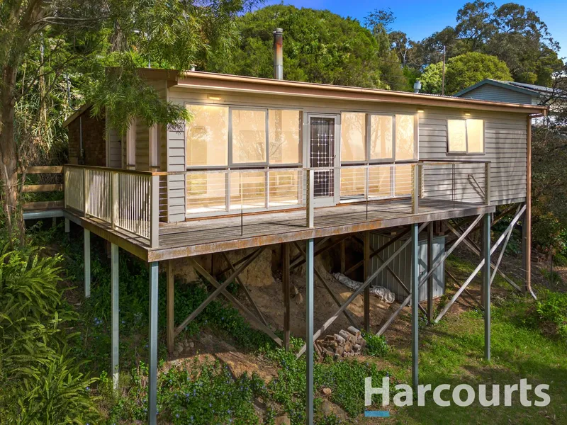 Strap On The Tool Belt!