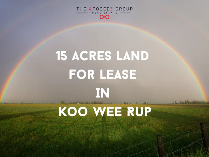 Lush green fertile land