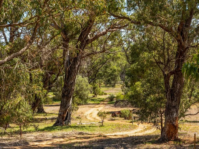 “Multi Facet Opportunity“