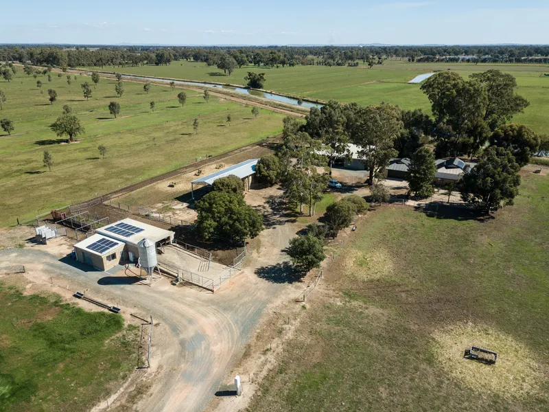 Quality Dairy Farm