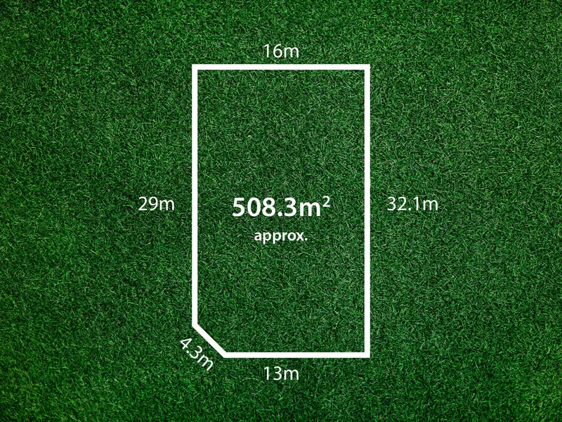 Land of Opportunity!