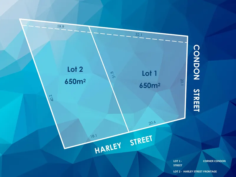 2 Outstanding Vacant Lots