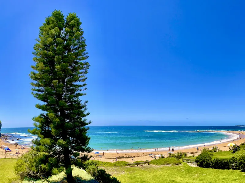 Absolute Beachfront - Prime Basin Position - WOW Views