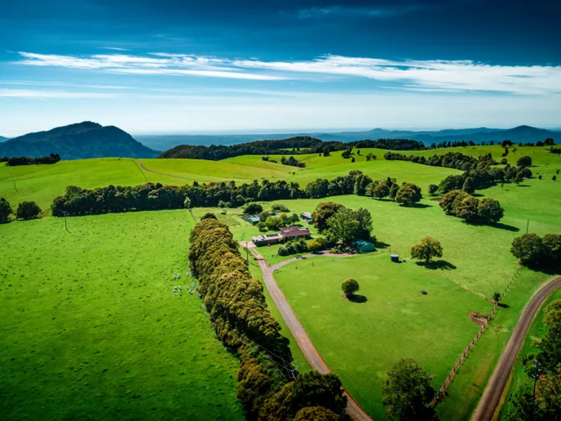 Just over 5 beautiful acres and mountains of possibilities.