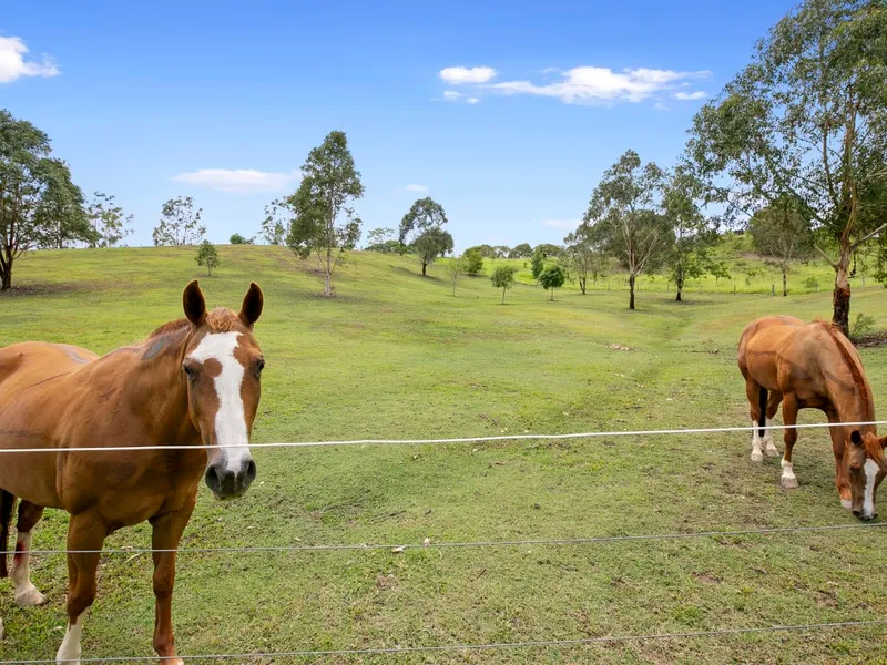 Rural Lifestyle Living At Its Best! - Mountain Views & Parklike Landscaping