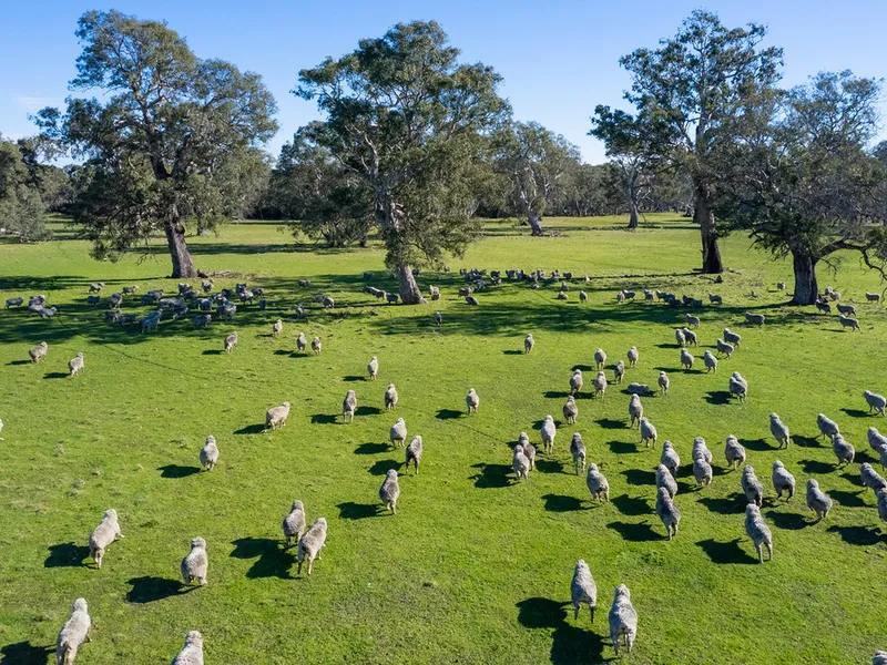LIFESTYLE ON ACREAGE – GRAZING AND WILDLIFE