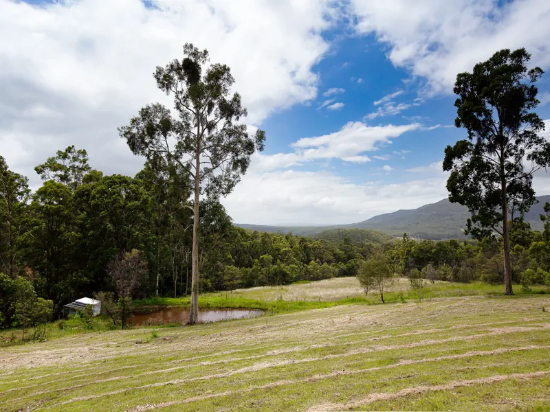 Character and views ! Have it all on this 119 acre property.