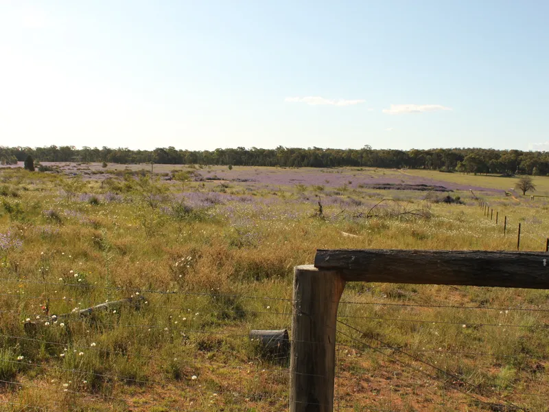 Life style block close to Dubbo