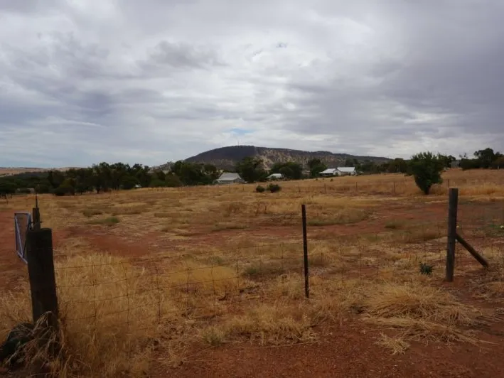 Great Block, Great Price!!