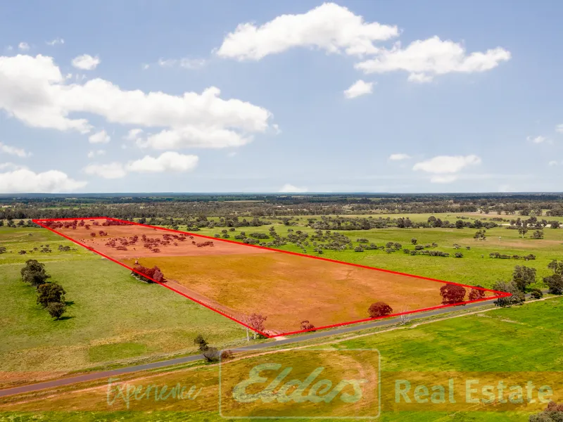 PERFECT SLICE QUALITY ELGIN COUNTRY!