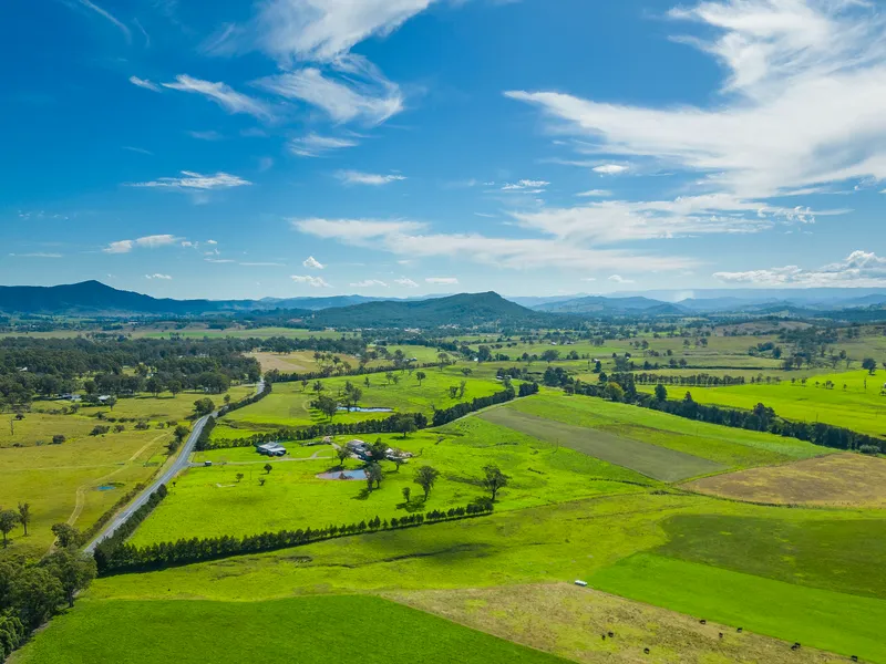 Blue Chip Hunter Valley Agricultural Investment.
