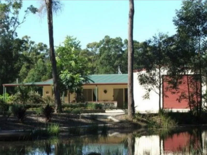 Jetty in the Bush