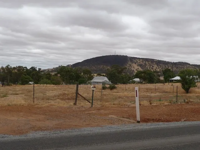 What More Could You Want