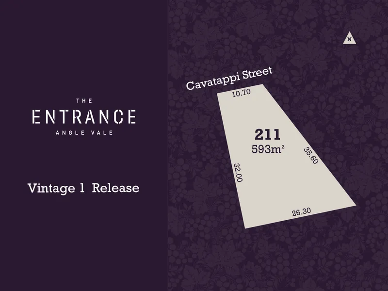 Now Selling Lot 211 Cavatappi Street