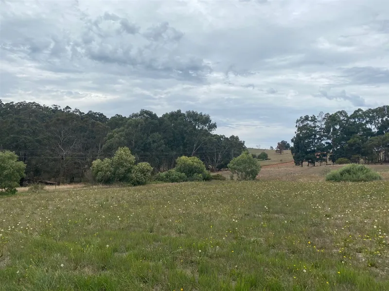 Level Building With Lovely Views