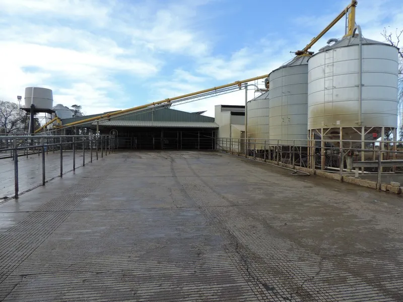 WELL ESTABLISHED LARGE SCALE, NO MORE TO SPEND DAIRY FARM