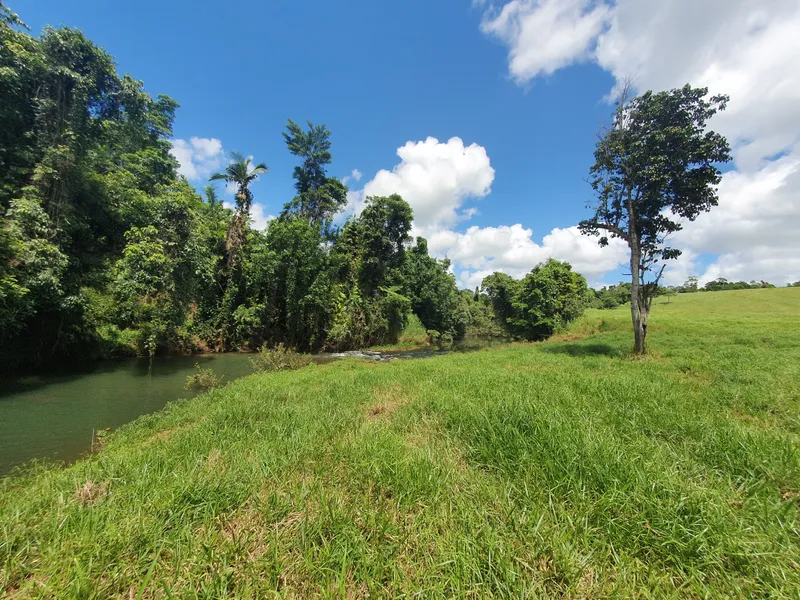 CATTLE PROPERTY APPROX 92 ACRES OF IMPROVED PASTURES + CREEK + BORE + HOME & SHED