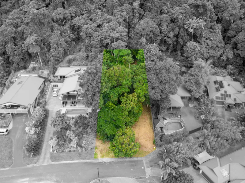 Private Elevated Block with Rainforest Backdrop