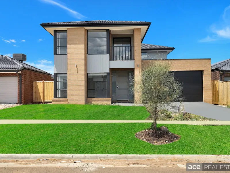 Looks Like a Million!