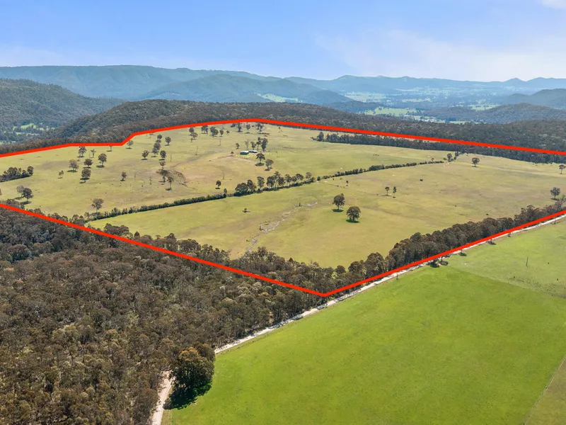 Paradise Plains - A Rural Oasis in the Upper King Valley