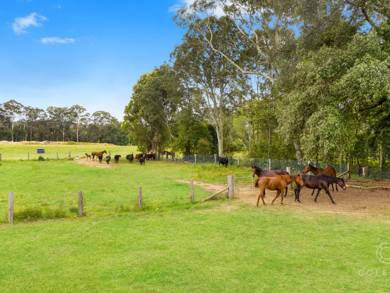 Highly prized vacant 59 acres - just 4mins to town. 