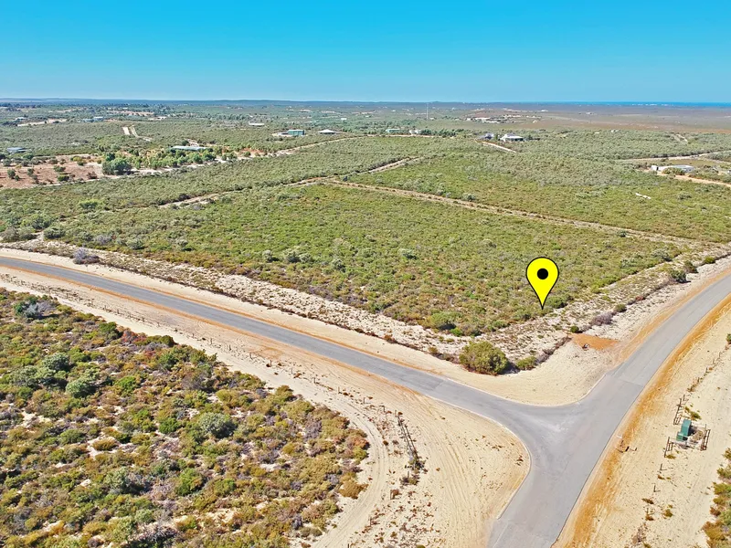 Sea Change or Tree Change