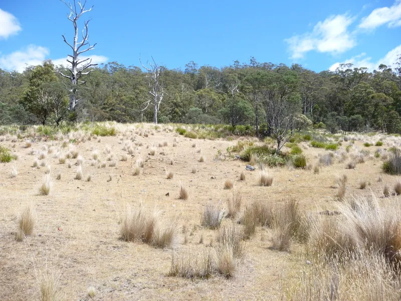 Station Hill Subdivision - Rural Land