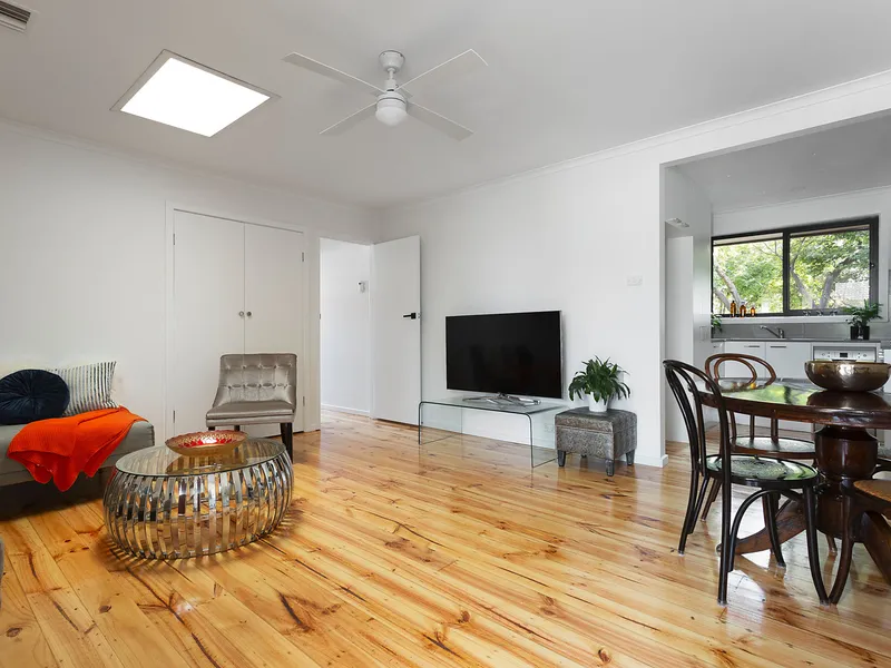 Renovation Perfection on the Park!