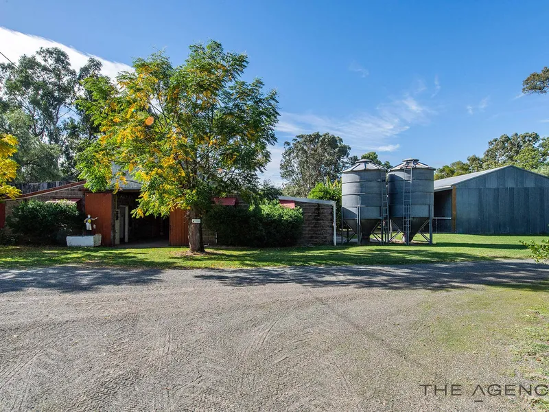 Calling All Horse Lovers: Embrace Your Equestrian Dream!