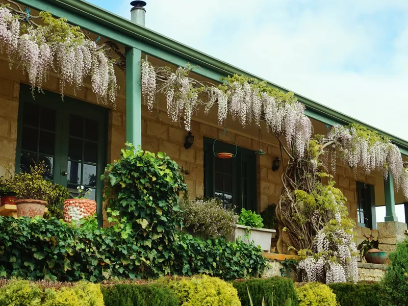 56 MacPherson Drive, NORNALUP WA 6333