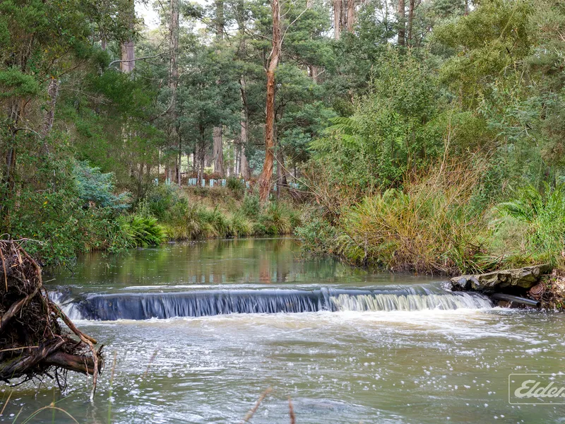 Immaculate Home In Tranquil Setting On Approx. 20 Acres With Pasture And River Boundary