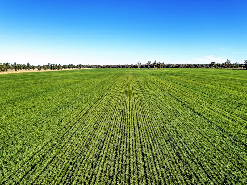 Offered as a whole with crops included