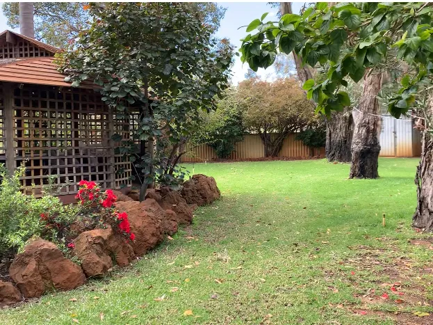 Future investment opportunity