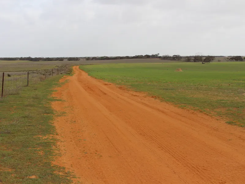 GREAT VALUE, OPEN BARLEY COUNTRY, HEALTHY GRAZE, SOWN FEED