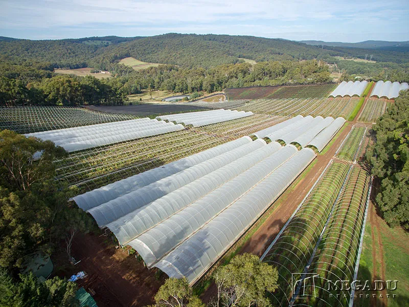 Enjoy a country lifestyle while earning $300,000 a year