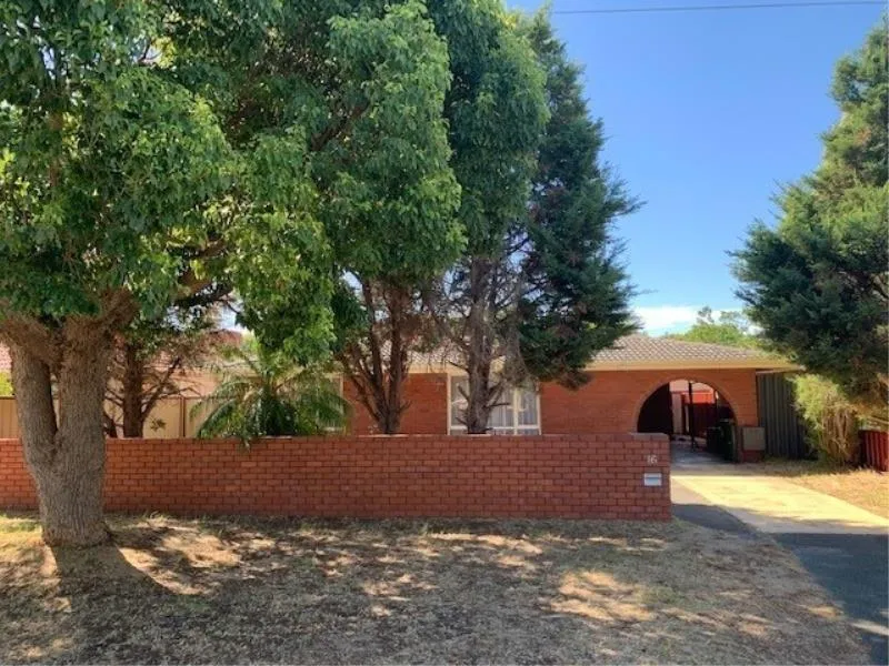 RENOVATOR REQUIRED!