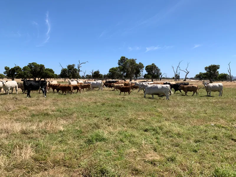 'Opportunity Abounds'