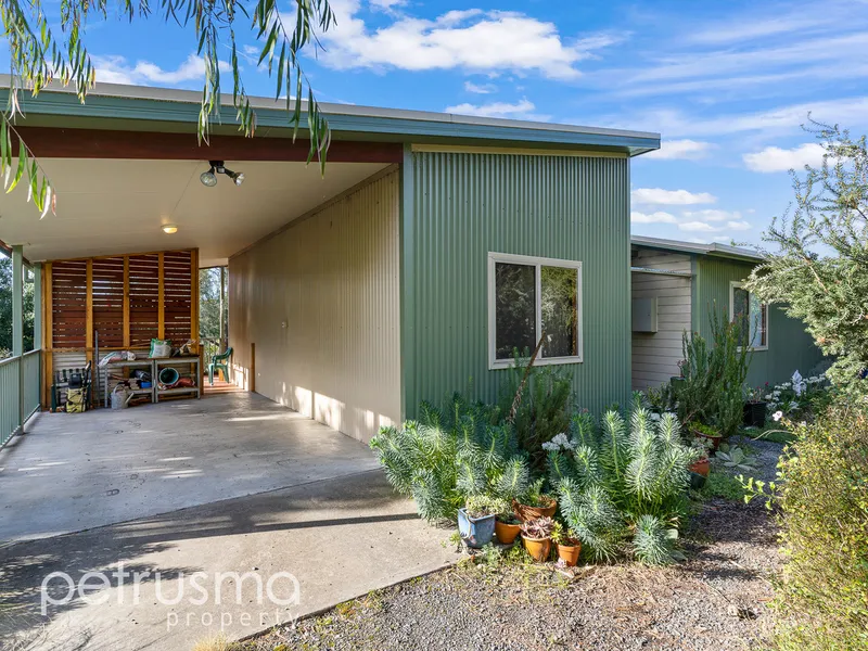 Vibrant Home in Primrose