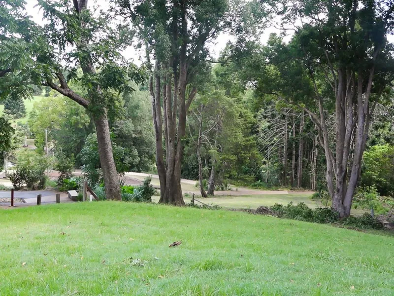 LIVE, WORK AND PLAY IN THE SUNSHINE COAST HINTERLAND